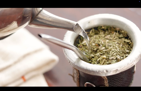 Yerba Maté vs. Green Tea: Which One Truly Boosts Focus and Fat Burn?
