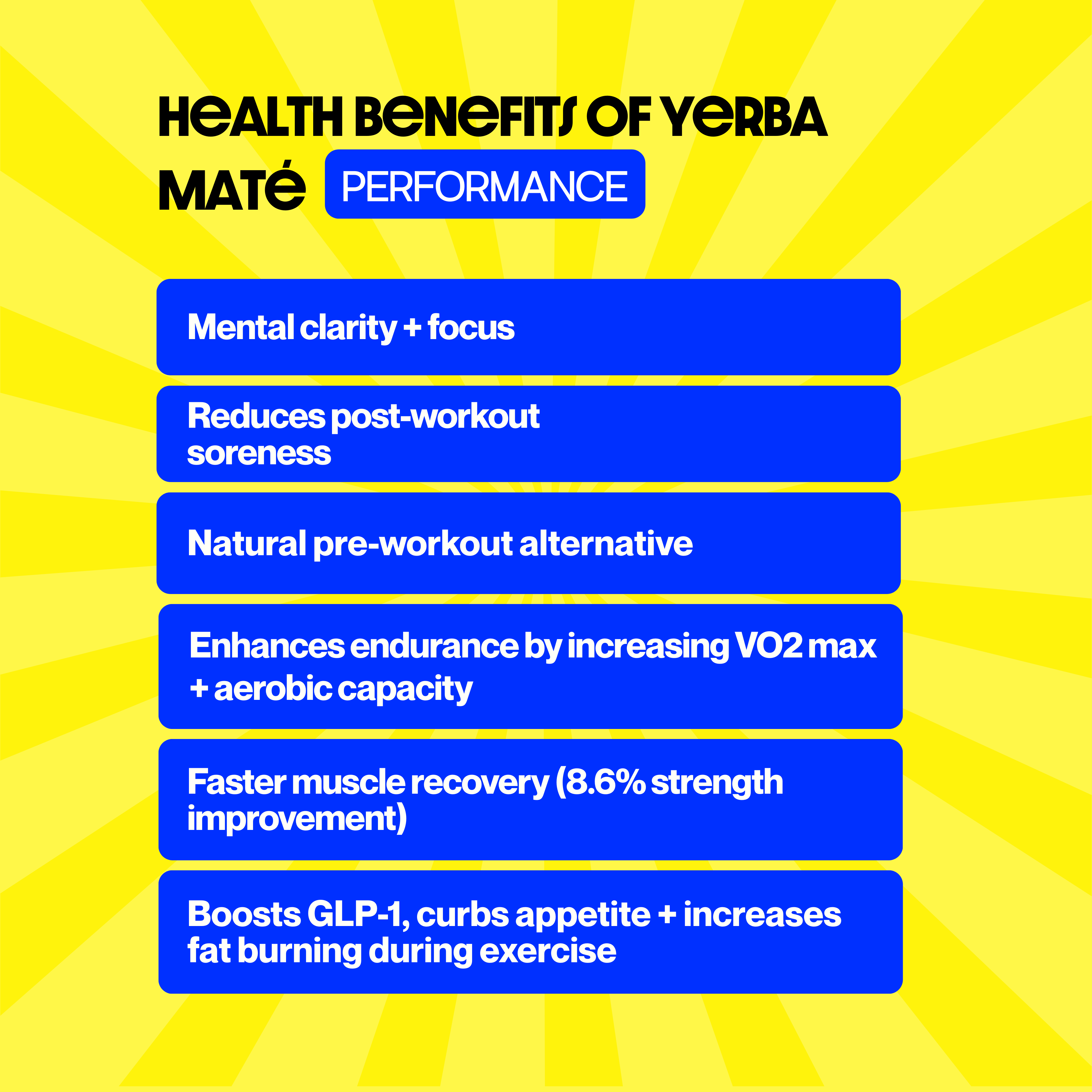 Yerba Mate Loose Leaf + Filter Straw (Bombilla)