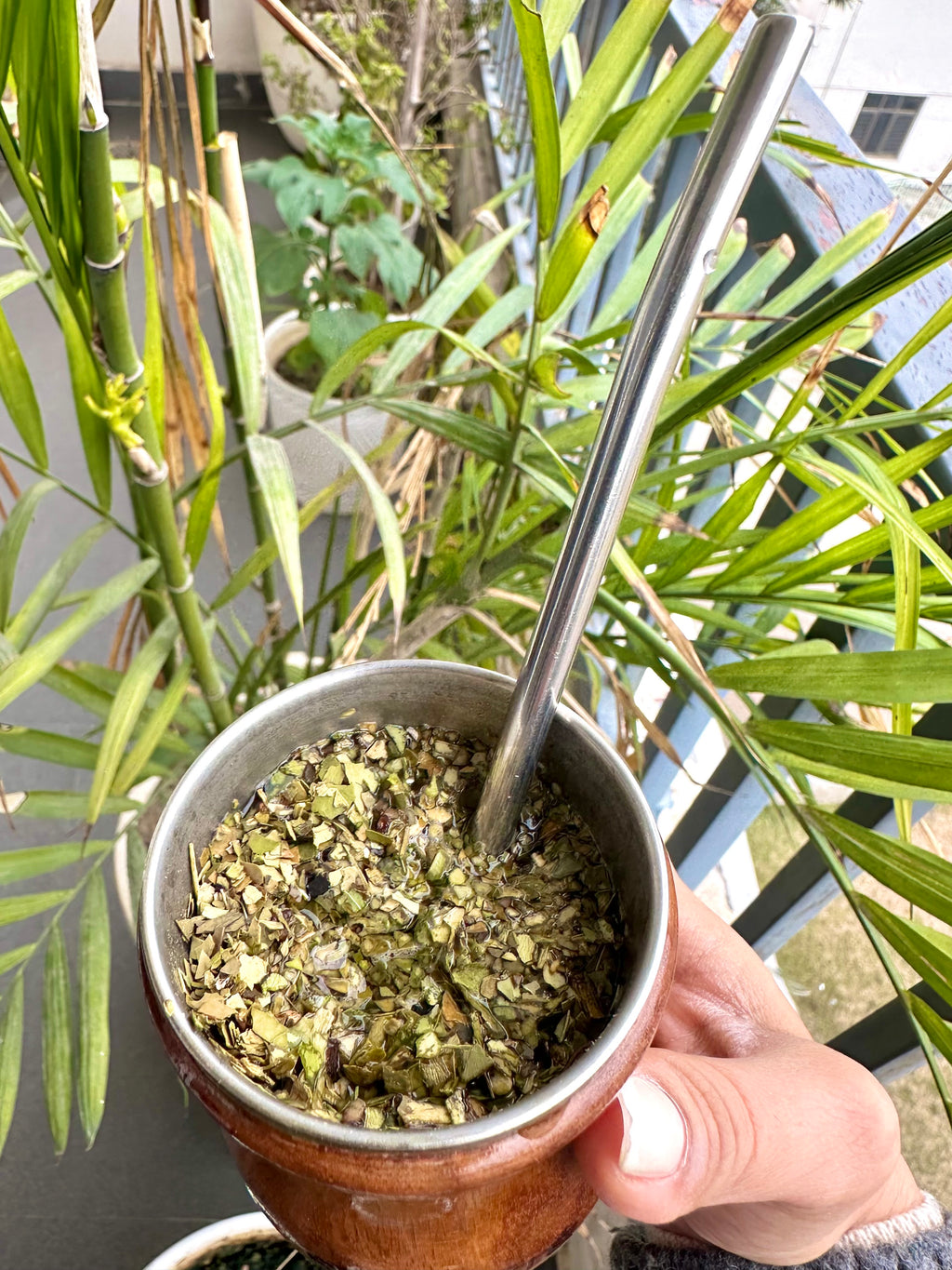Yerba Mate Loose Leaf + Filter Straw (Bombilla)