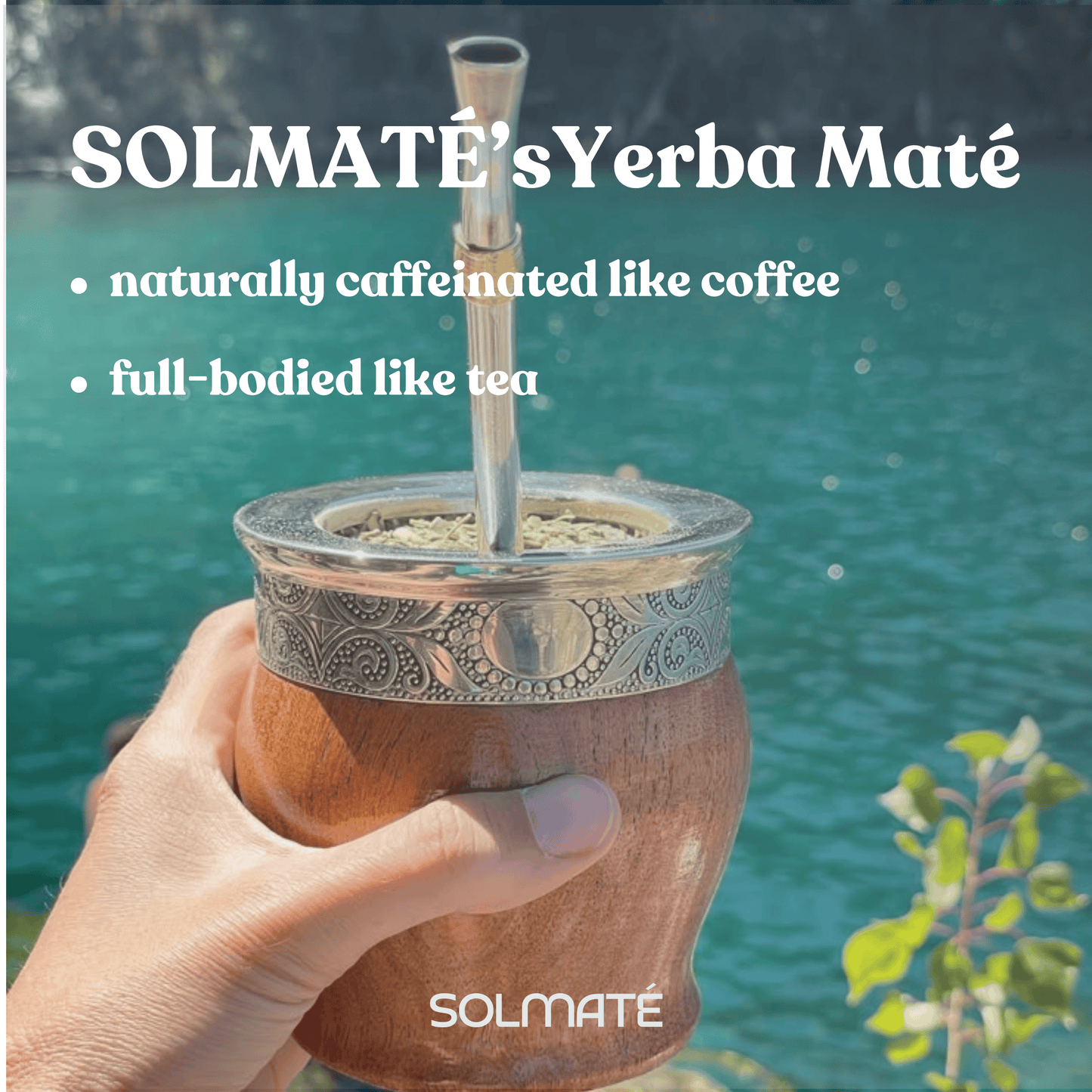 Yerba Mate Loose Leaf + Filter Straw (Bombilla)