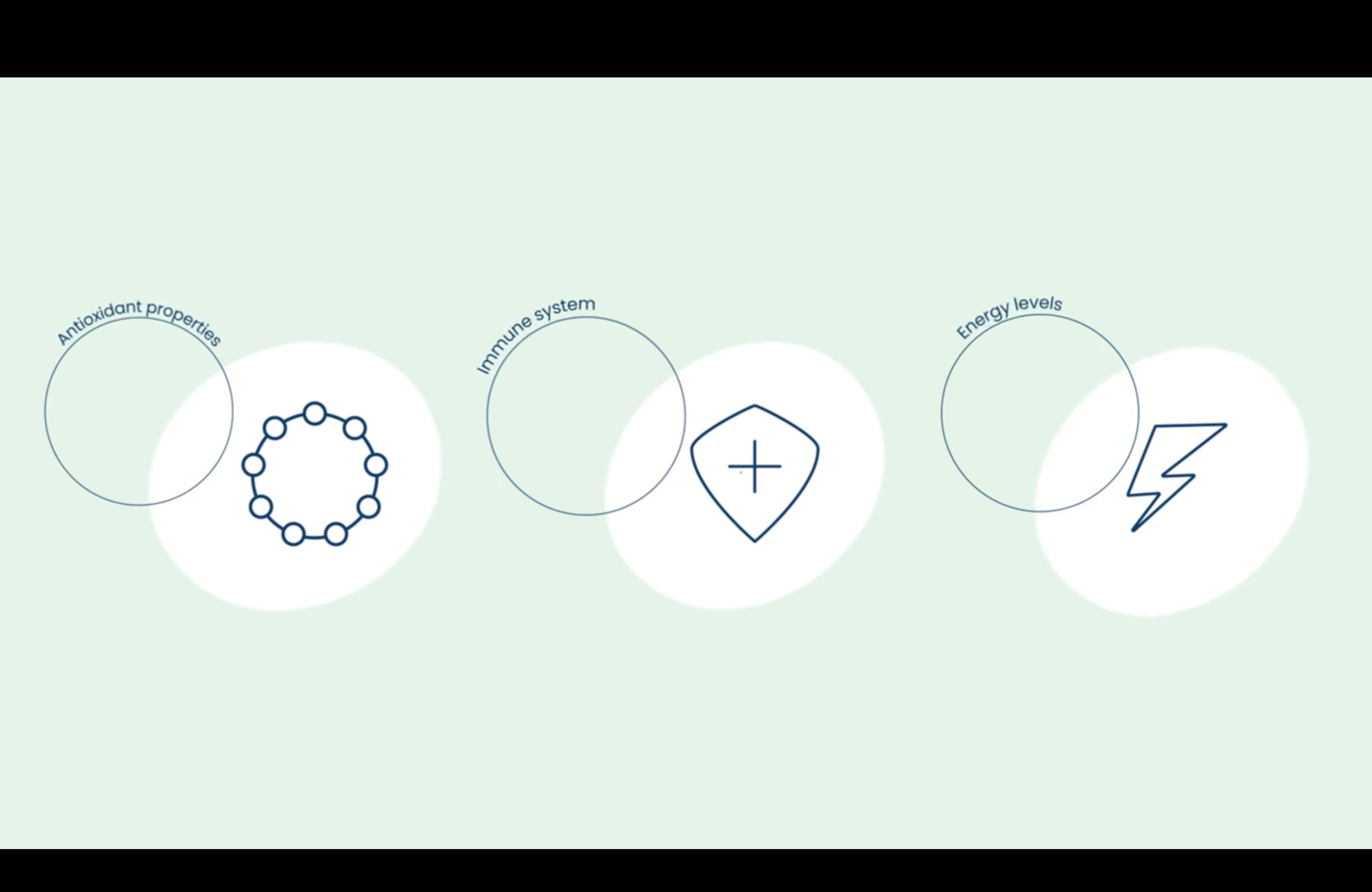 How does Yerba Mate help the body, Yerba Mate is an adaptogen meaning it has the ablity to adapt by helping the body release stress, fatigue and gives alertness, focus and enegy to the body.