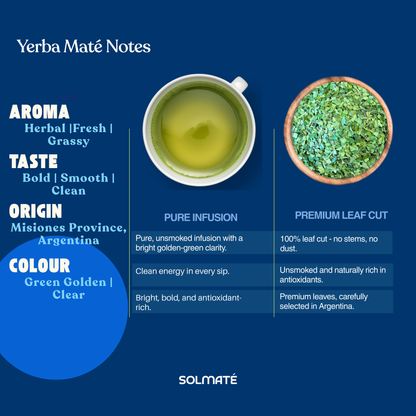 Yerba Maté for Weight Loss