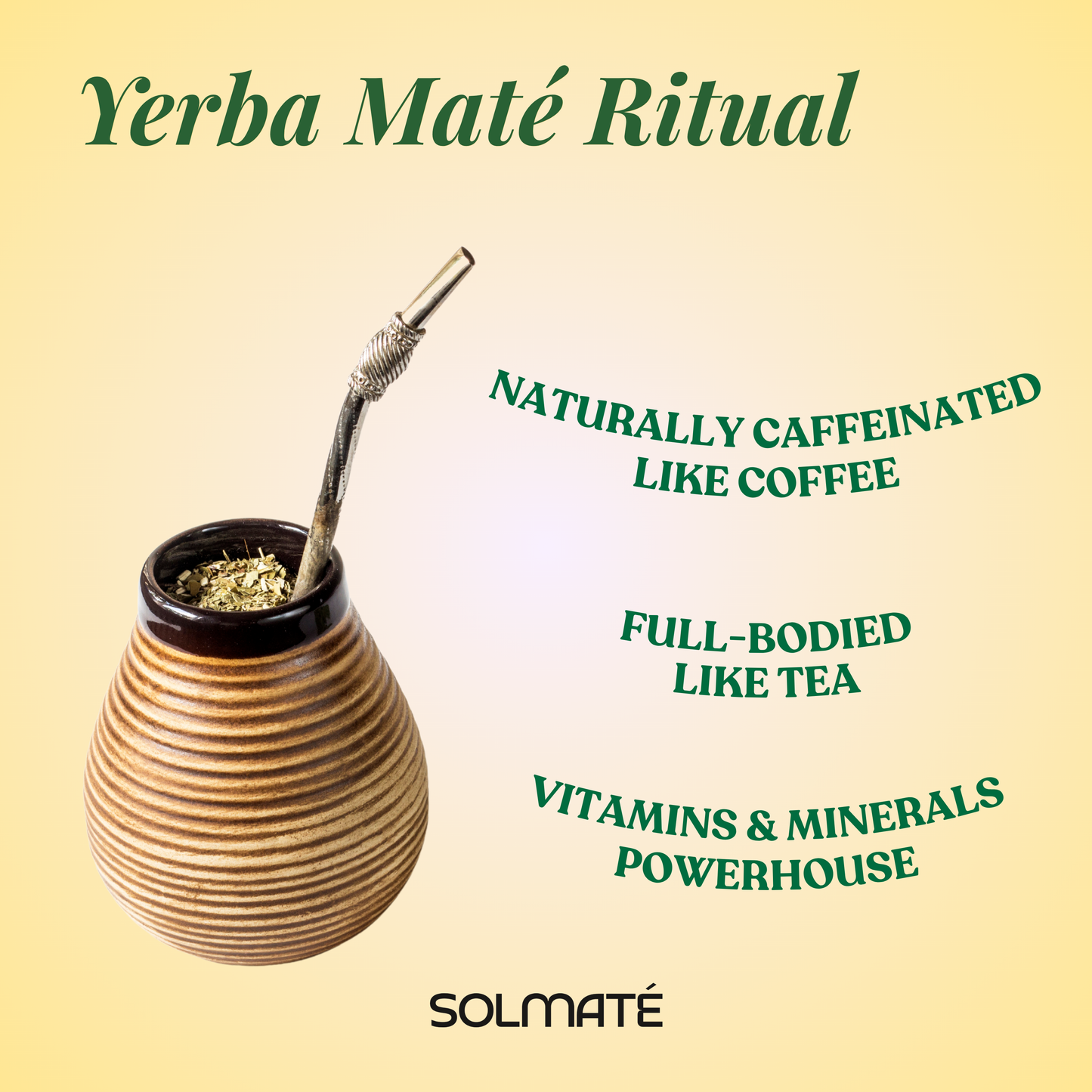 Yerba Mate Loose Leaf + Filter Straw (Bombilla)